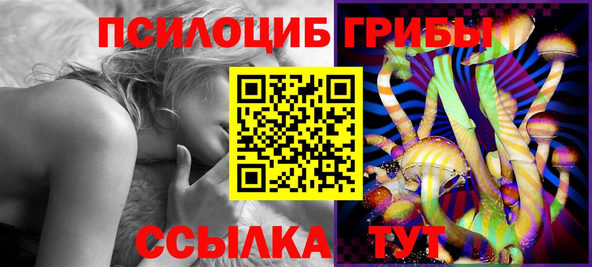 Горно-Алтайск  Галлюциногенные грибы ЛСД  Вход с VPN 